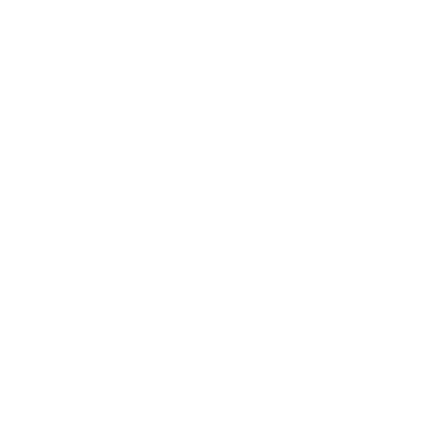 BMPA 20 years logo